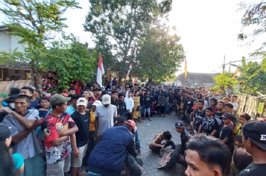 Komunitas Hepiii Community Tampilkan Seni Kuda Lumping dan Reog di Jember, Tarik Antusias Ribuan Warga