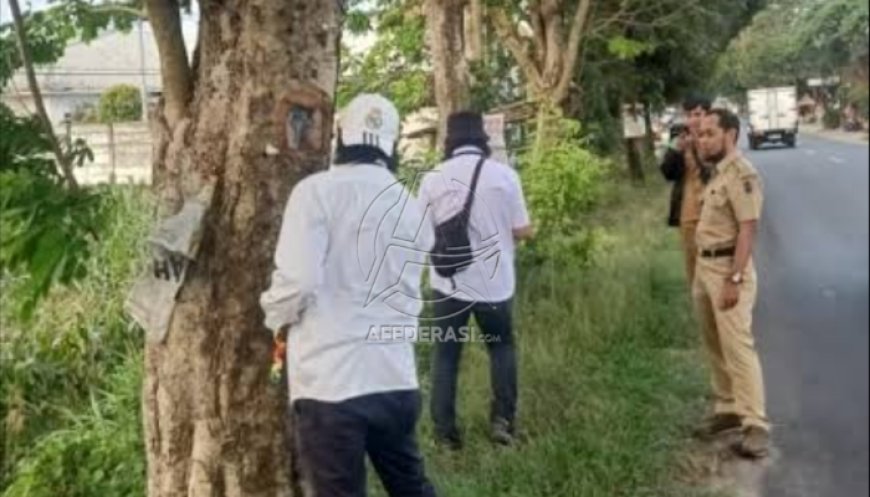 DLH Tulungagung Inventaris Aset Pemkab  Berupa Pohon Sonokeling, Nominal Capai Milyaran