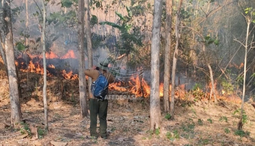 10 Hektare Lahan di Hutan Sanggrahan Tulungagung  Terbakar