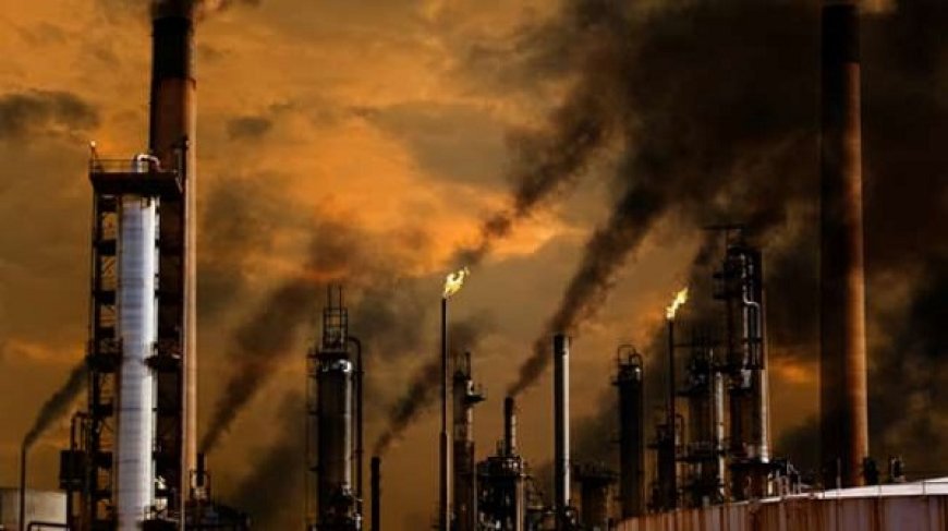 KLHK Bakal Perketat Baku Mutu Emisi Sektor Transportasi dan Industri