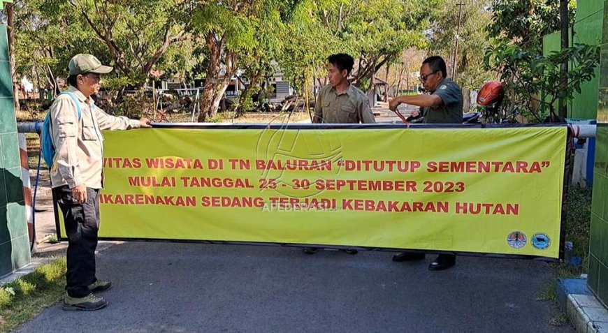 Kebakaran Melanda Taman Nasional Baluran, Wisatawan Dilarang Masuk!