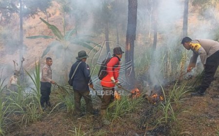 Kebakaran Terjadi di Kawasan Hutan Pinus di Trenggalek