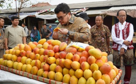 Bupati Kediri Pastikan Mangga Podang Matang dari Pohon