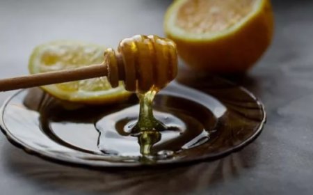 Madu Hutan: Keajaiban Alam yang Meningkatkan Kekebalan Tubuh di Tengah Cuaca Ekstrem