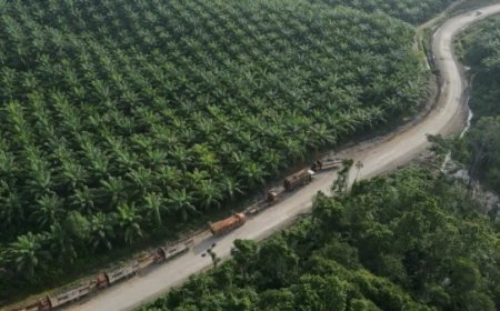 Komnas HAM Selidiki Kekerasan di Seruyan, Kalimantan Tengah, yang Menewaskan Satu Orang