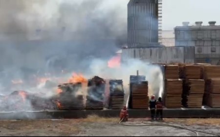 Api Merembet hingga ke Pabrik Tetangga, Damkar Kerahkan 13 Mobil  PMK