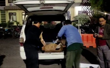 Polisi dan Petugas TN Baluran Berhasil Amankan Tiga Pelaku Pemburu Satwa Dilindungi