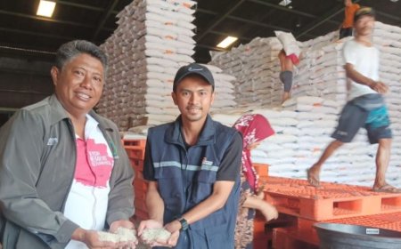 Bulog Pastikan Beras Impor Aman dan Layak Konsumsi