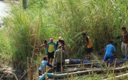 Kementan Tekankan Pentingnya Sistem Irigasi dalam Mencapai Target Produksi Beras 35 Juta Ton