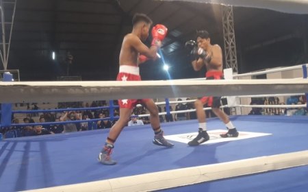 Pangdam V Brawijaya Terapkan Program Sabuk Emas untuk Petinju Berprestasi