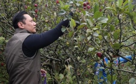 Ketua Partai Demokrat AHY Bagikan Momen Memetik Apel di Tengah Isu Reshuffle Kabinet