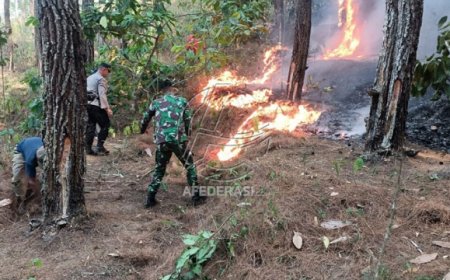 Sinergitas Petugas dan Masyarakat, Pemadaman Kebakaran Hutan dan Lahan di Kabupaten Trenggalek Cepat Teratasi