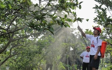 Orang Muda Ganjar (OMG) Riau Bantu Petani Jambu dengan Obat Hama dan Solusi Lainnya