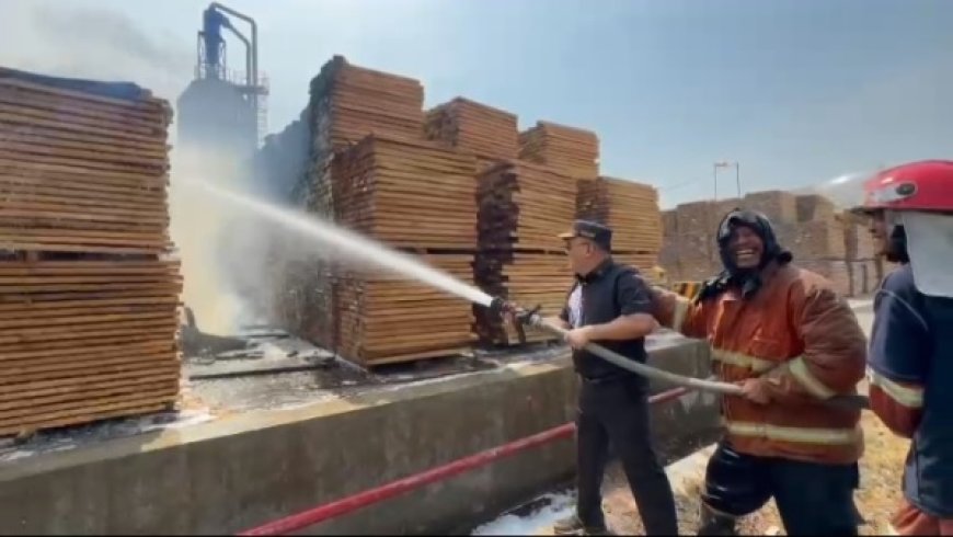 Hebat di Pabrik Kayu PT Nankai Indonesia, Dua Pekerja Alami Luka Bakar