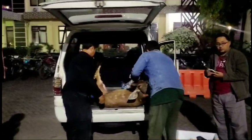 Polisi dan Petugas TN Baluran Berhasil Amankan Tiga Pelaku Pemburu Satwa Dilindungi