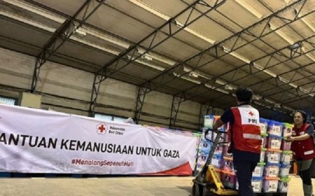 Tujuh WNI Dievakuasi dari Gaza, Sementara Tiga Lainnya Pilih Bertahan