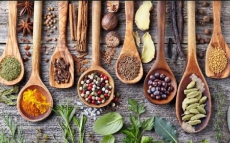 Tanaman Obat di Indonesia: Potensi dan Perbedaan Regulasi dengan Obat Tradisional China