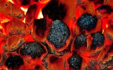 Inovasi Briket Sampah Menjadi Energi: Solusi Kreatif Pengelolaan Sampah di Bangkalan, Madura