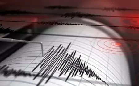 Gempa 7,2 Magnitudo Guncang Kepulauan Tanimbar, Maluku