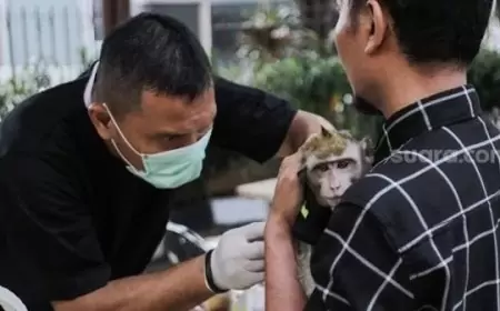Upaya Mencegah Penularan Rabies: Jakarta Barat Gencar Vaksinasi 105 Ekor Hewan Peliharaan