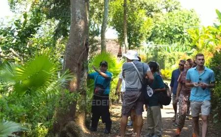 Hotel Margo Utomo Kalibaru, Banyuwangi Tawarkan Pengalaman Menginap yang Istimewa