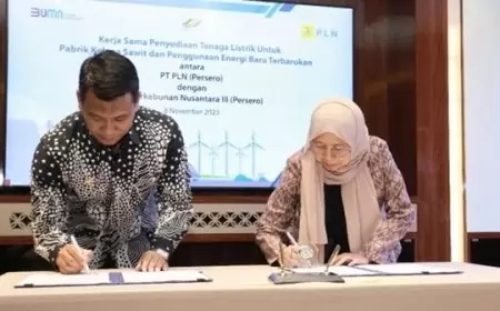 PTPN III dan PLN Bersinergi Tingkatkan Listrik Ramah Lingkungan untuk Pabrik Kelapa Sawit
