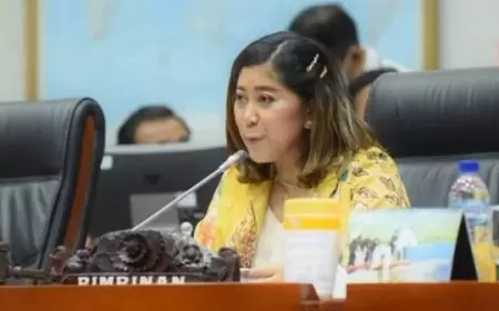 Profil Meutya Hafid: Dari Jurnalis Berprestasi hingga Sukses di Dunia Politik