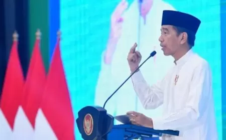 Presiden Jokowi Usulkan Empat Langkah Konkret untuk Two State Solution di Konflik Israel-Palestina