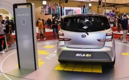 Indonesia Berkomitmen Net Zero Emissions 2060 (NZE 2060): Fokus pada Kendaraan Listrik, Energi Terbarukan, dan Pembangunan IKN Nusantara