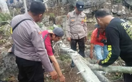 Tragedi di Hutan Sedayugunung, Pria Tewas Tertimpa Pohon Sengon