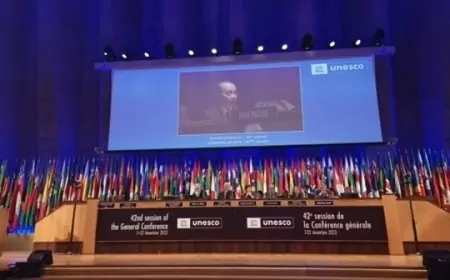 Bahasa Indonesia Resmi di Sidang Umum UNESCO: Sejarah dan Perjuangan Pemerintah