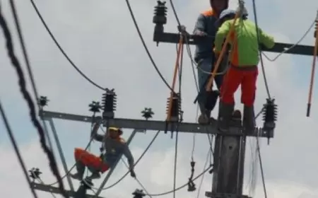 Abra Talattov dari CFESD - INDEF Kritik Skema Power Wheeling dalam RUU Energi Baru dan Terbarukan