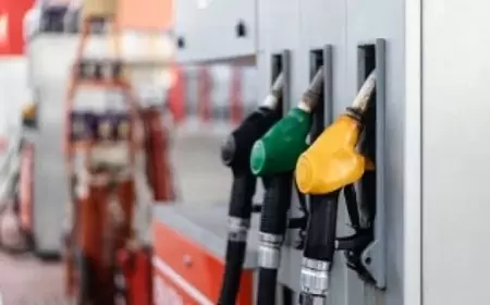 Pemerintah Dorong Net Zero Emission 2060: Pentingnya BBM RON Tinggi dalam Transformasi Sektor Otomotif