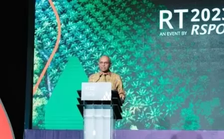 RSPO Catat Sejarah Baru dalam RT2023: Membangun Keberlanjutan Minyak Sawit Selama Dua Dekade