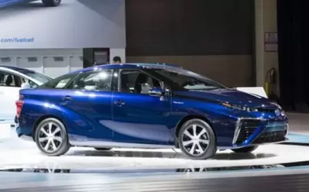 Inovasi Terbaru PLN: Menghasilkan Hidrogen Hijau untuk Mendukung Transisi Energi