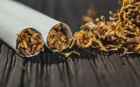 Petani Tembakau Sumedang Tolak RPP Kesehatan dalam Festival Tembakau