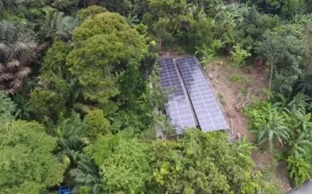 PLTS Bukit Asam Membuka Era Panen Ganda di Desa Karang Raja, Muara Enim