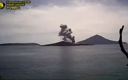Gunung Anak Krakatau Meletus Sebanyak 14 Kali dalam Rentang Waktu Satu Hari