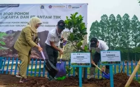 Antam Gelar Aksi Penanaman 2.000 Pohon untuk Hari Menanam Pohon Indonesia