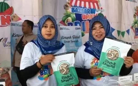 Perjalanan UMKM Sinar Sawah: Dukungan BRILian, Tips Sukses Keripik Belut, dan Tantangan Pandemi