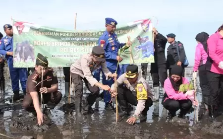 Cegah Terjadinya Abrasi, Forkopimda Situbondo Tanam Ribuan Mangrove