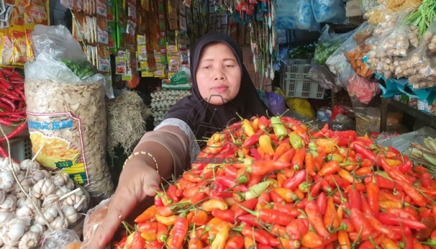 Harga Cabai Rawit di Pasar Ngemplak Tulungagung Meroket hingga Rp 70 Ribu per Kilogram