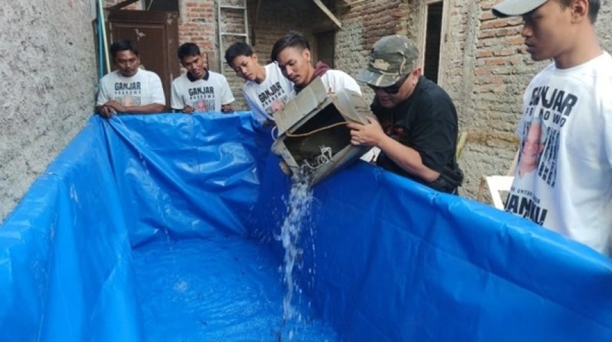 Sukarelawan Ganjar Muda Padjajaran Mengadakan Pelatihan Budi Daya Ikan Lele dan Hias Bersama Warga