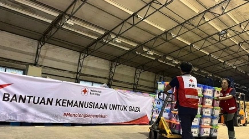 Tujuh WNI Dievakuasi dari Gaza, Sementara Tiga Lainnya Pilih Bertahan
