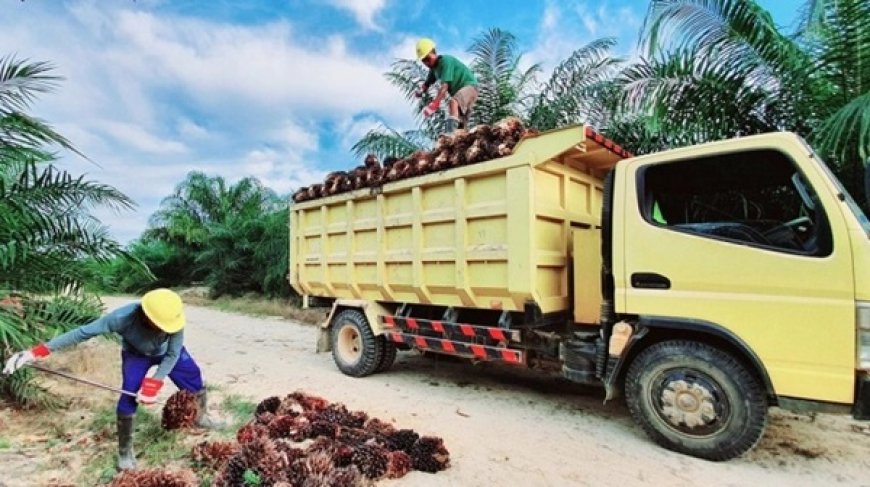 PTPN III (Persero) Terus Memperkuat Transformasi dengan Pembentukan PalmCo dan SupportingCo