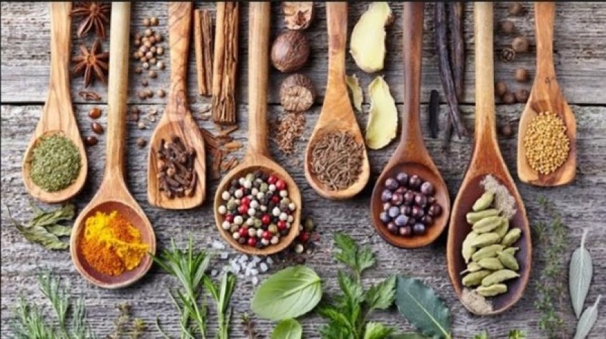 Tanaman Obat di Indonesia: Potensi dan Perbedaan Regulasi dengan Obat Tradisional China