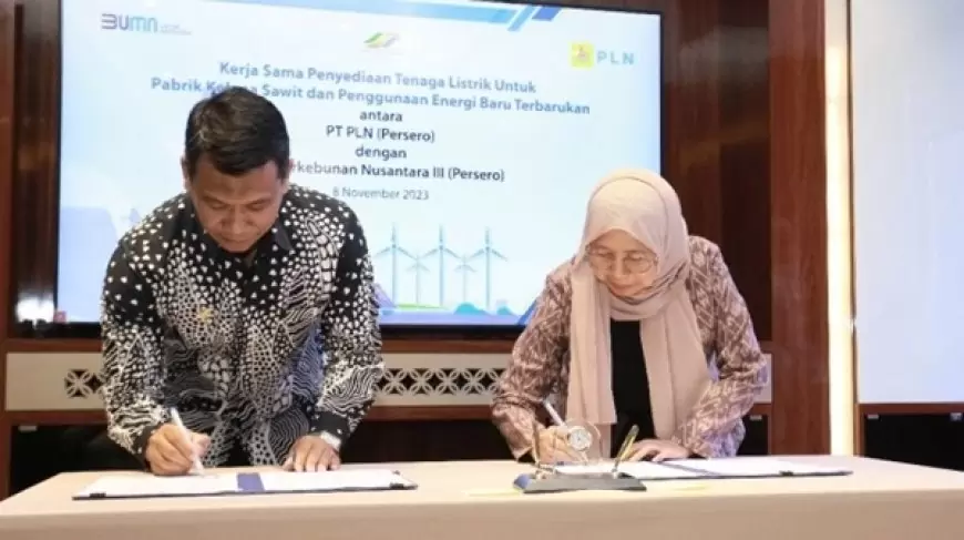 PTPN III dan PLN Bersinergi Tingkatkan Listrik Ramah Lingkungan untuk Pabrik Kelapa Sawit
