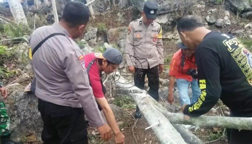 Tragedi di Hutan Sedayugunung, Pria Tewas Tertimpa Pohon Sengon