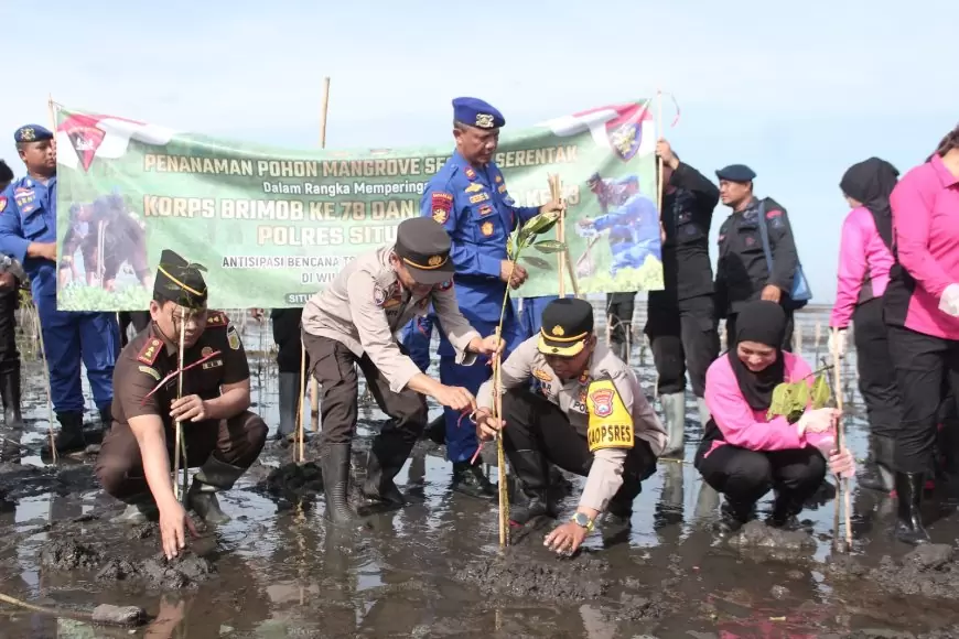 Cegah Terjadinya Abrasi, Forkopimda Situbondo Tanam Ribuan Mangrove