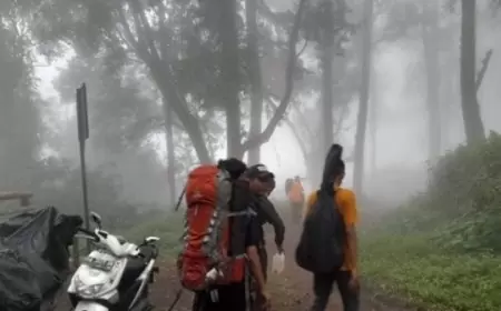 28 Pendaki Terjebak Erupsi Gunung Marapi, Evakuasi Tim Gabungan Terus Dilakukan